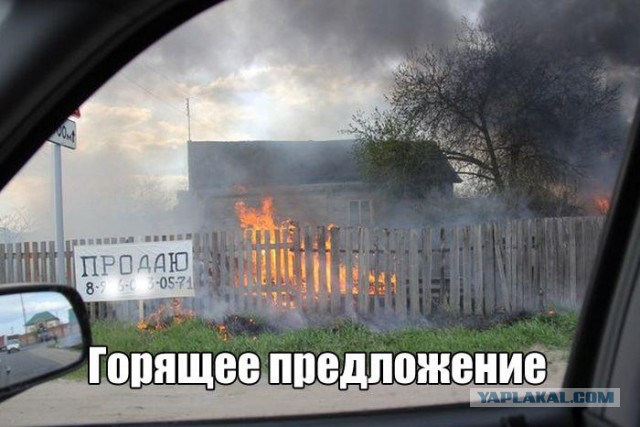 Разные по свежести картинки. Опять