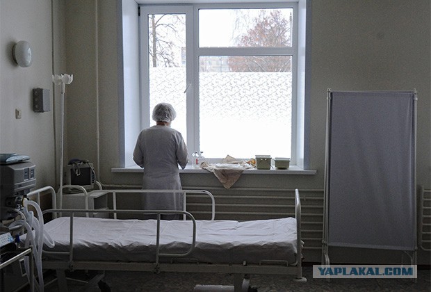 «Гнобить нас стали недавно»
