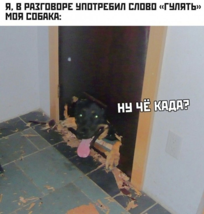 Картинки с надписями и анекдоты