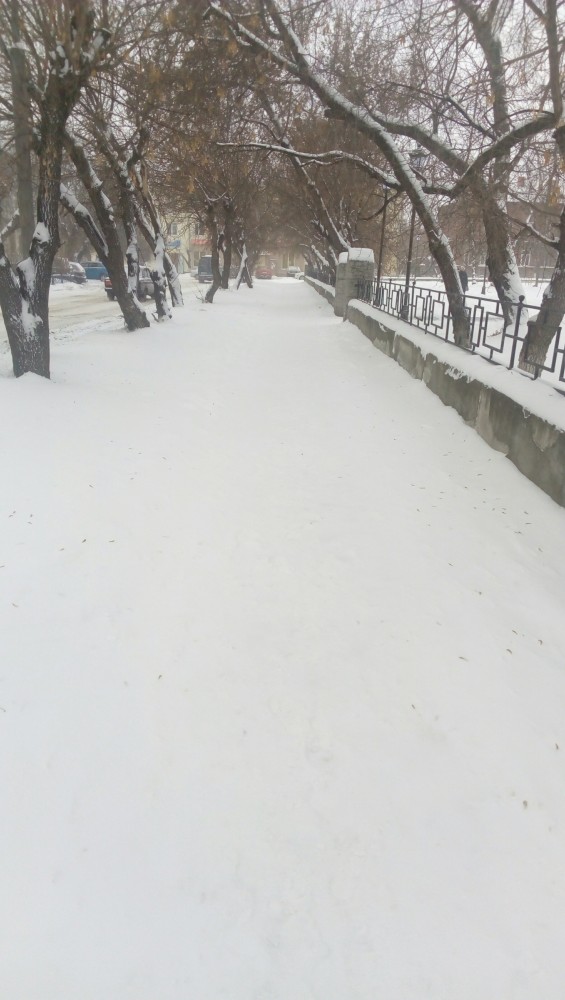 Здравствуй, *опа Новый год...
