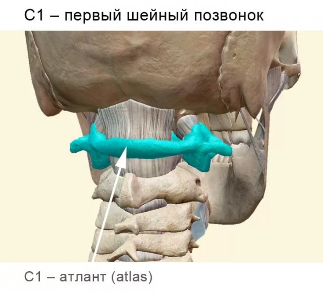 Ничто не предвещало такого...