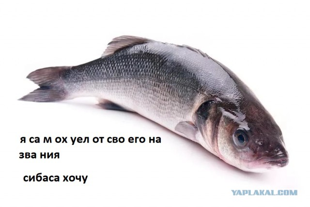 Исправление