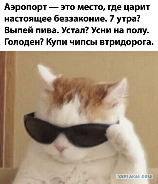 Немного картинок для настроения 222