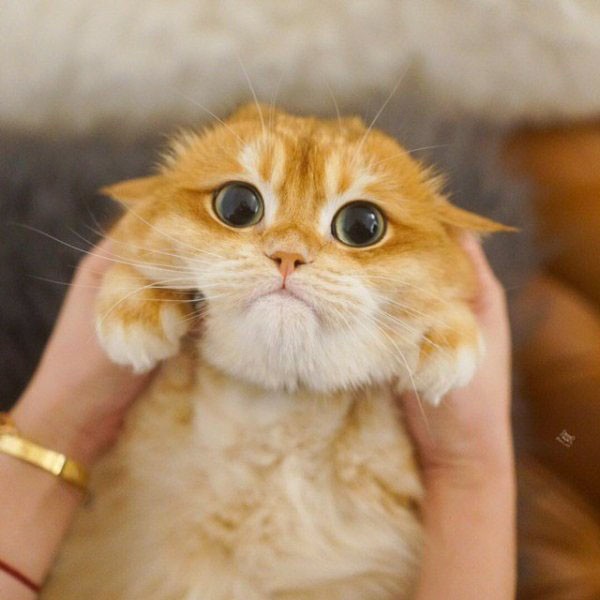 Прикольные и просто красивые картинки 29.10.2020