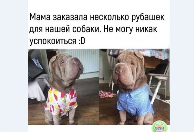Картинки и мемы для настроения 008