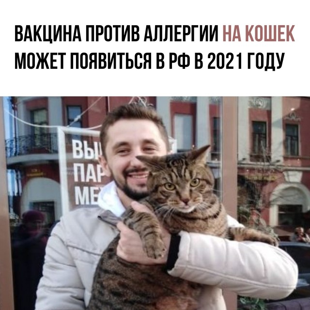 Кретинизмы от KV и KO 28.01.2021