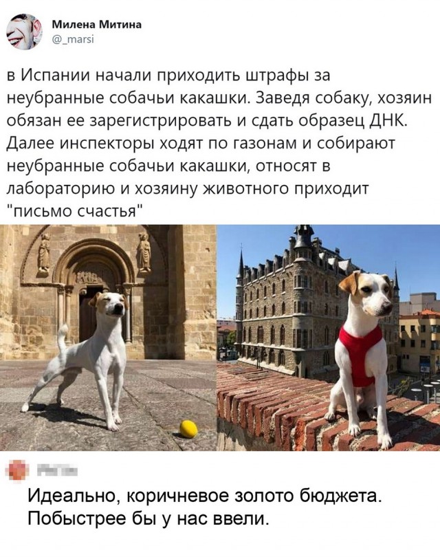 Кретинизмы из сети 10.03.21
