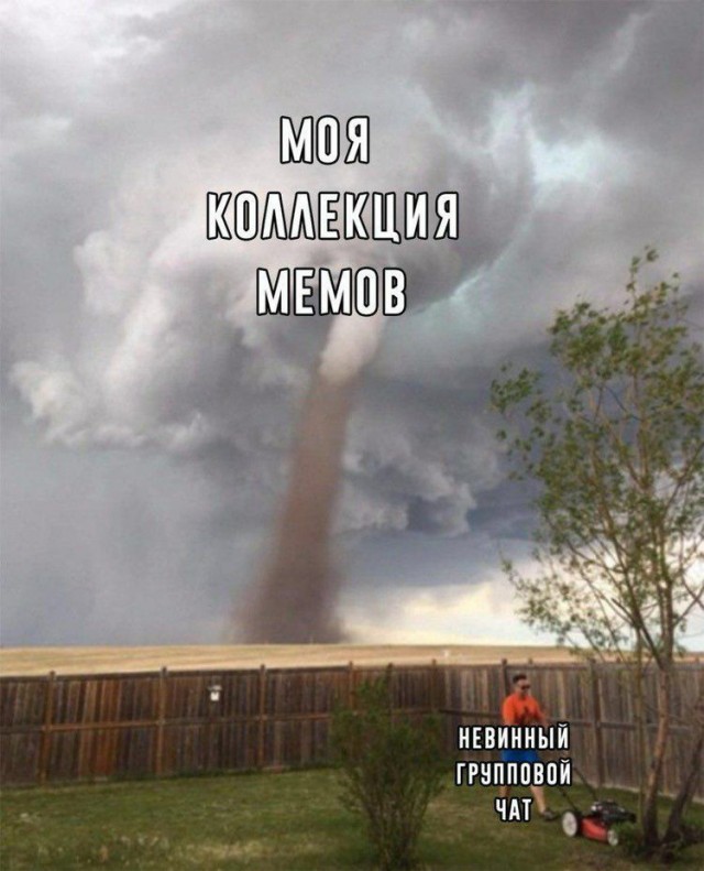 Весёлый полтишок 13.03