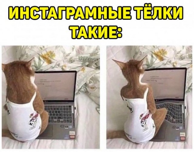 Картинки и мемы для настроения 21.06.2021
