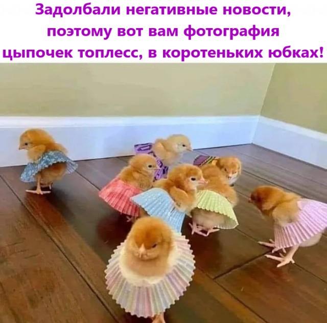 Прикольные и просто красивые картинки 13.07.2021