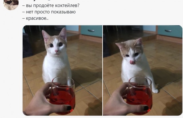 Разбираем новый мем "про рыбов"