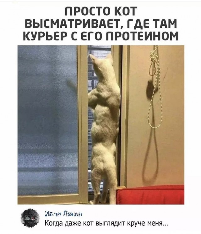 Картинки и мемы для настроения 24.08.2021