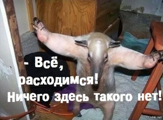 Про перчатки...