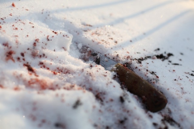 Депутата убили в Николаевском районе Хабаровского края