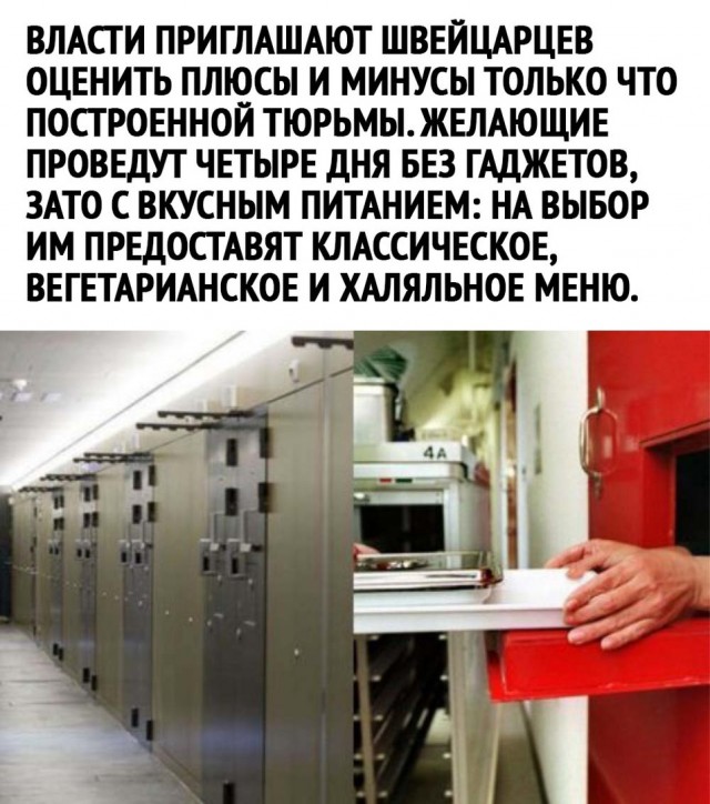 Чуток картинок 20.02.22