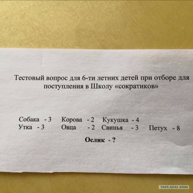 Картинки. Баян-прибоян Япа