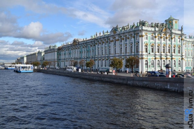 СПб глазами уставшего туриста...