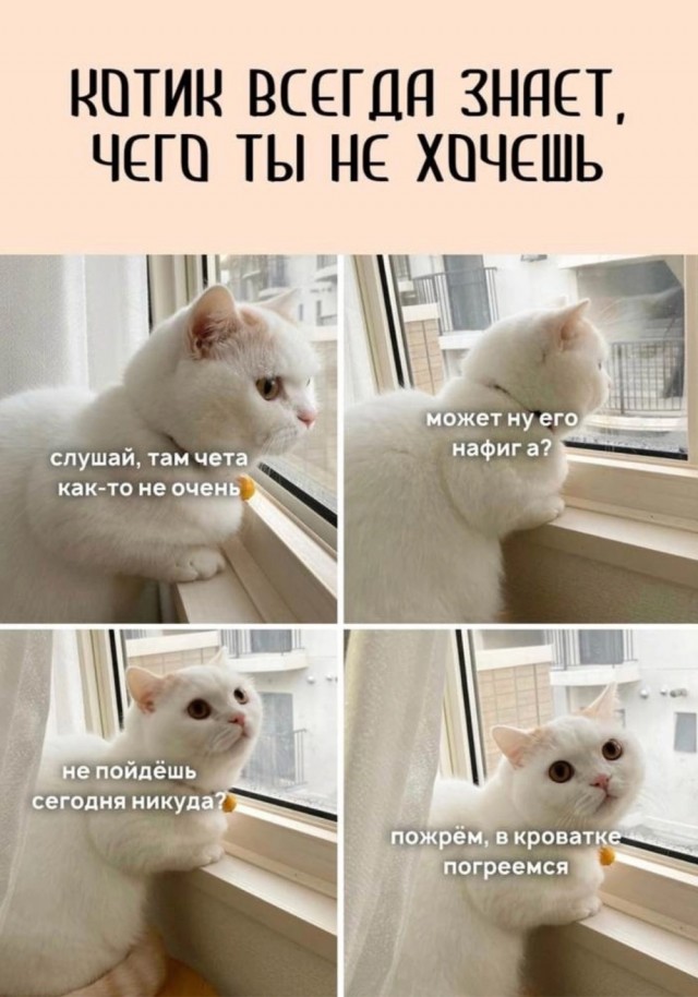 Картинки и мемы, всем хороших выходных