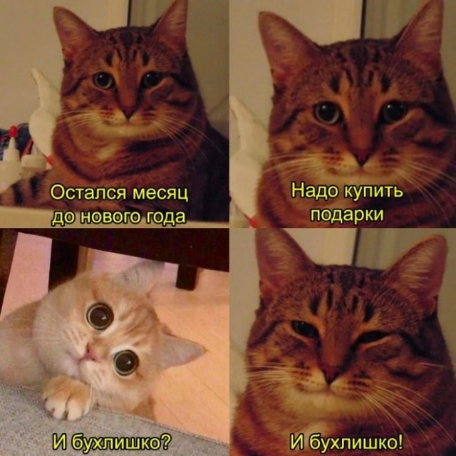 Картинки с надписями 04.12.22