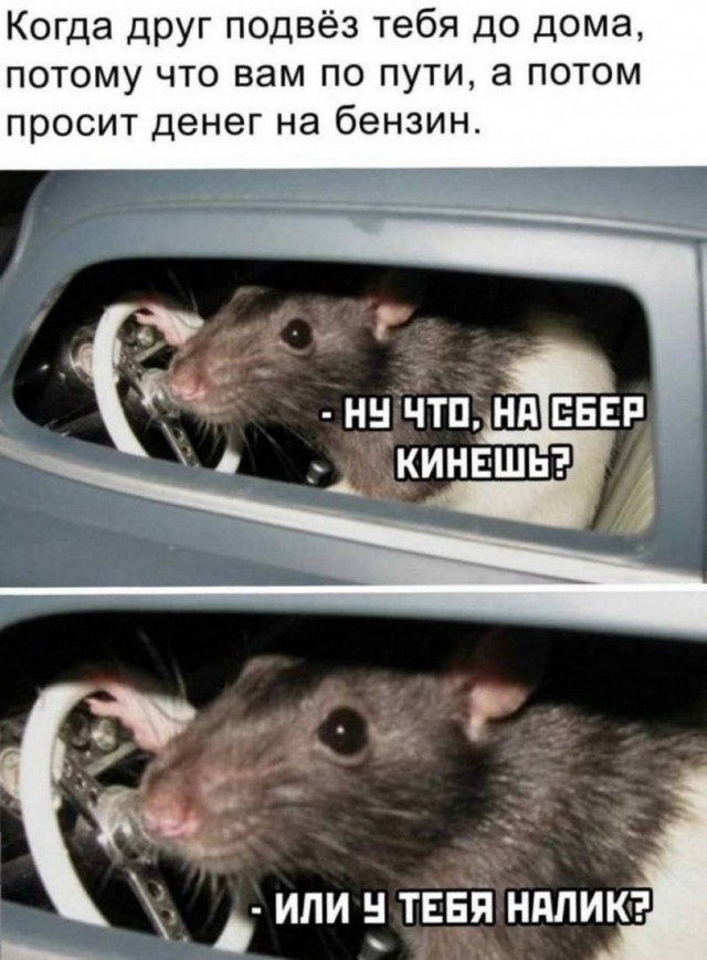 Немного картинок для настроения - 127