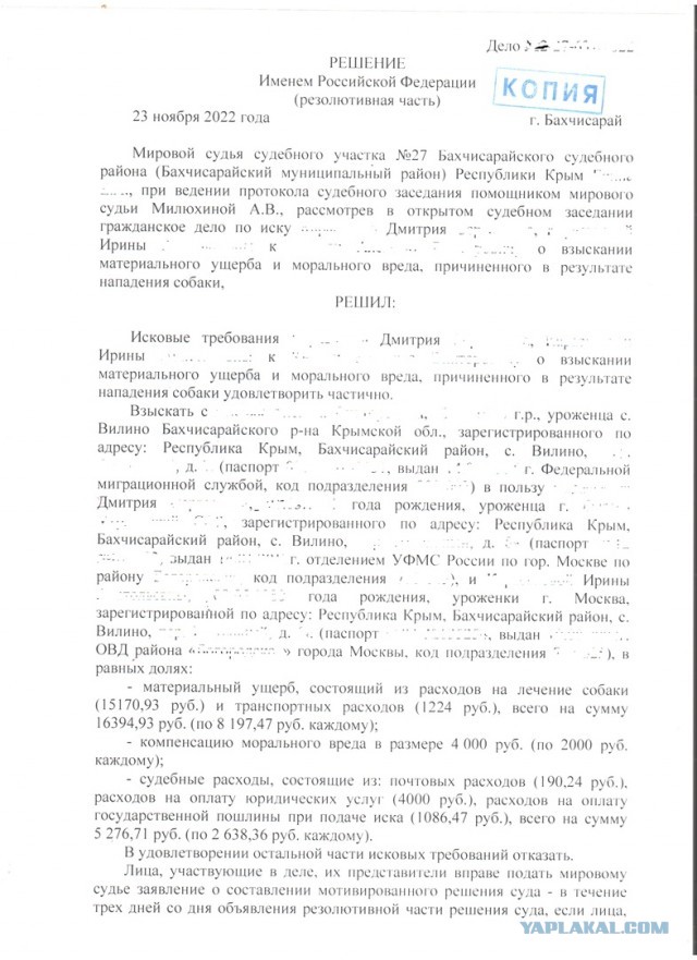 Продолжение. Нападение чужой собаки у меня во дворе.