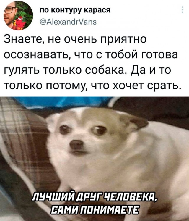 Весёлый полтишок 09.01.23