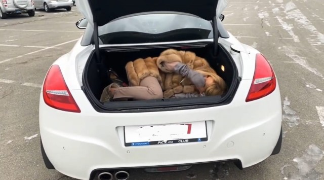 Французские автомобили — это отдельная ветвь в мировой автопромышленности