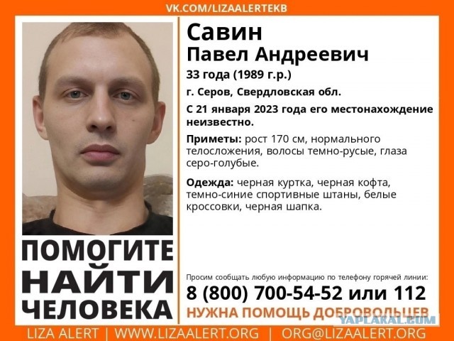 Найден пропавший неделю назад свердловчанин - его загрызли собаки