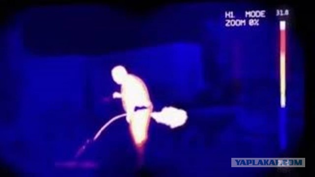 Барсик сволочь ты опять гороховый суп жрал