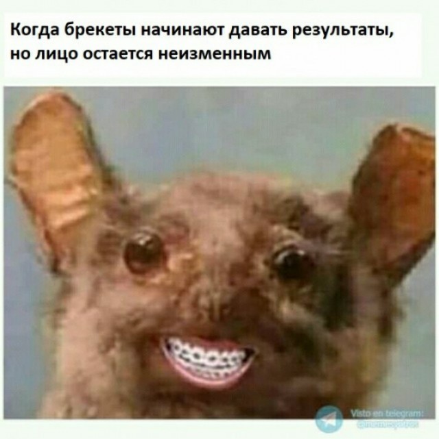Во власти кольца