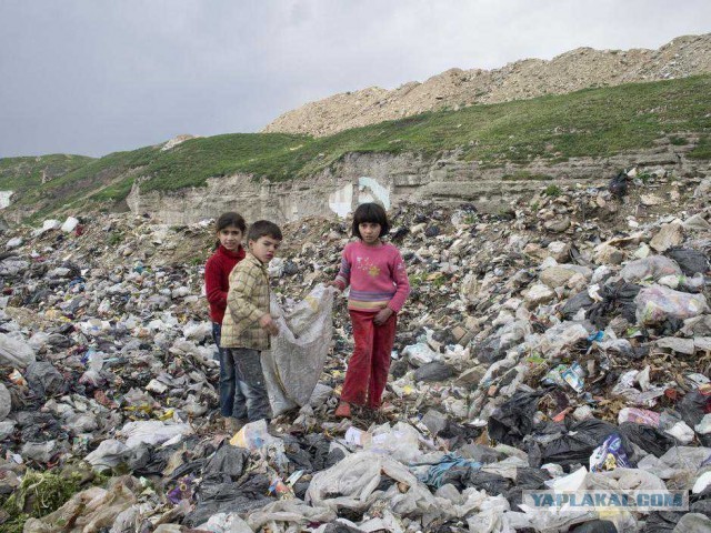 Есть ли жизнь в Алеппо?