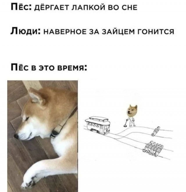Подборка картинок 14.04.2023