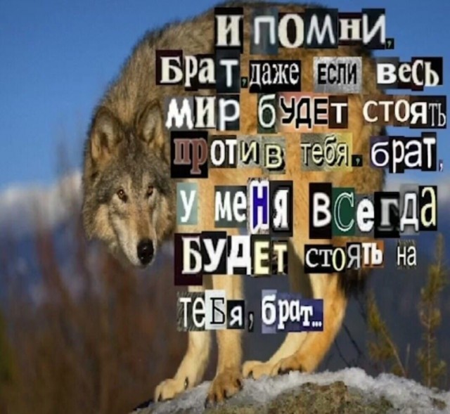 Бесит, когда срёшь на рельсы, показывая дух бунтарства и свободы, а тебе мешают волки