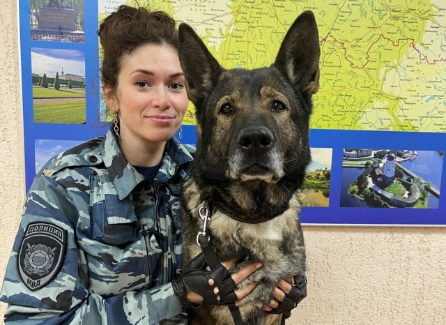 Подборка служебных собак