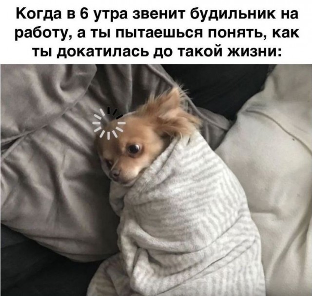 Картинки весёлые, вроде