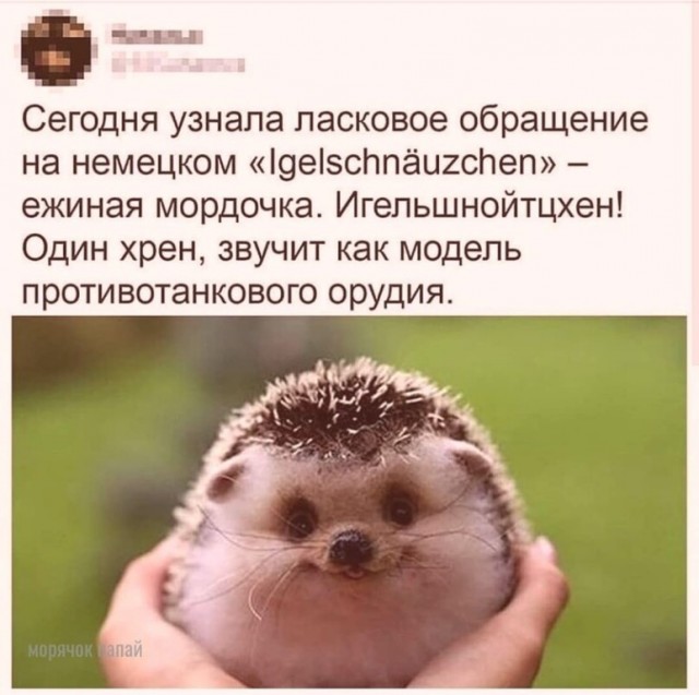 У немцев всё не как у людей