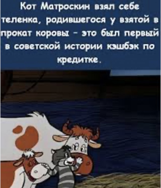 Весёлый полтишок 11.01.23