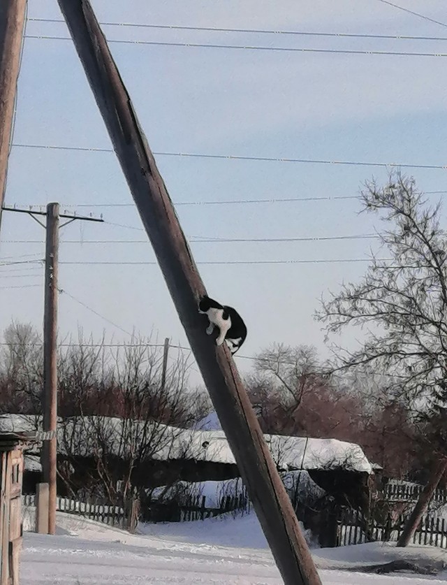 Всегда на майские флаг ставлю