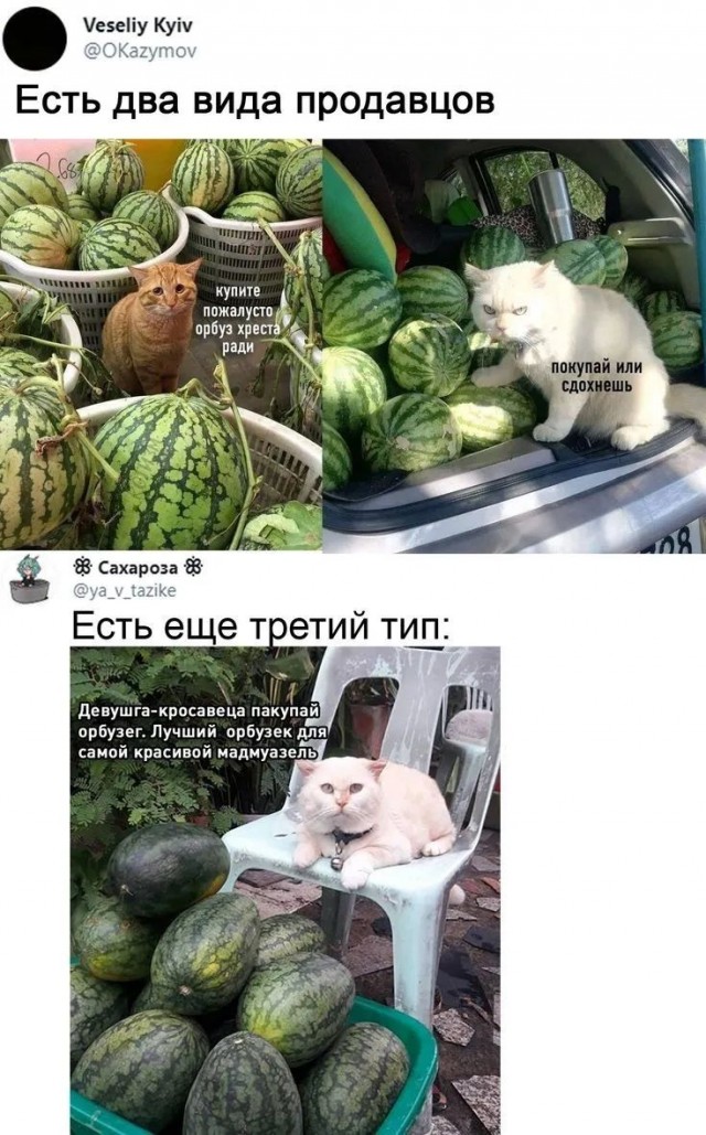 Завалялось тут случайно немного забавных картинок