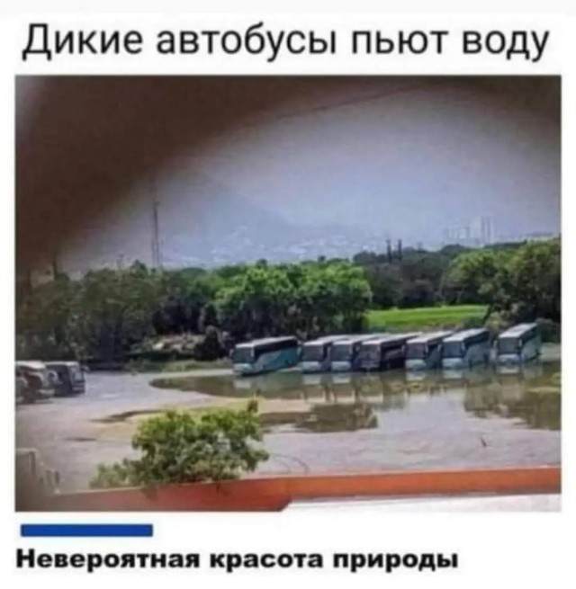 Нуштош 04.10.2024