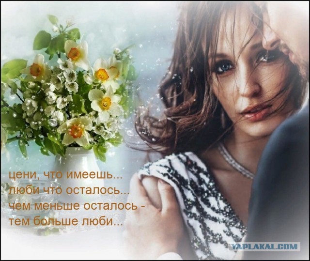 Прикольные и просто красивые картинки 22.11.2024