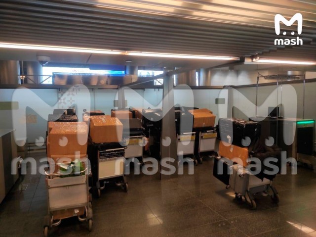 Самая лютая  барахольщица из Дубайска выкупила почти всё багажное отделение самолёта для своих 50 коробок со шмотками