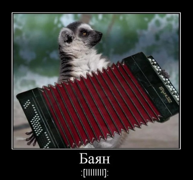 Ну вот так ответил