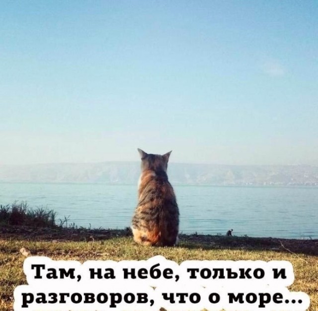 Так себе картинки 17.05.25