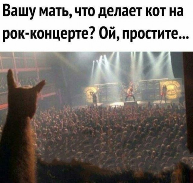 Так себе картинки 22.05.25