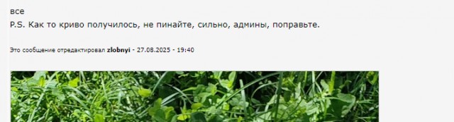 Грибы. Юг Чувашии. 2025 год.
