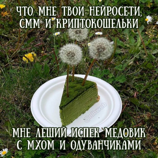 Картинки для деградации 41 (разной степени свежести)