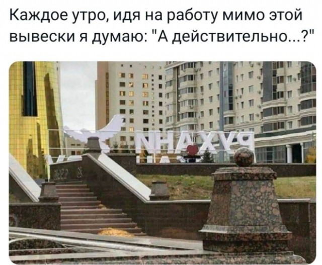 Веселые картинки в пятницу (17.10)