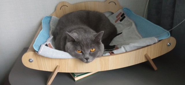 МоеЭ Котэ
