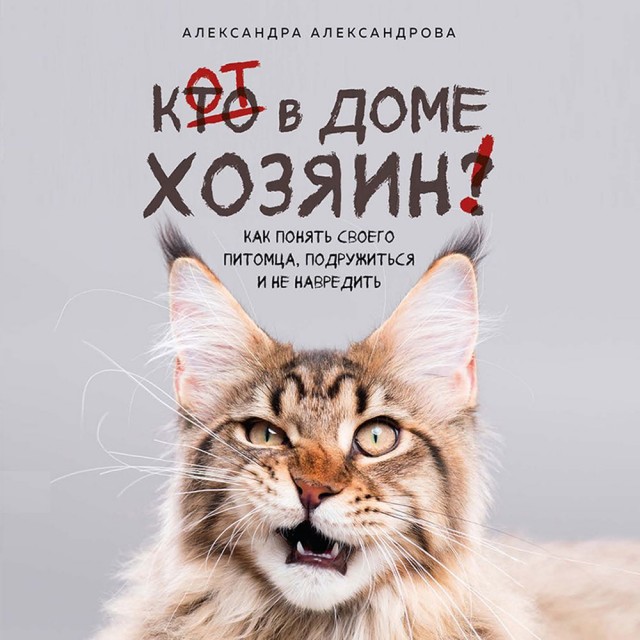 Милота дня